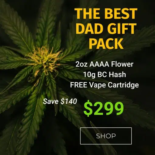 promo-banner-image